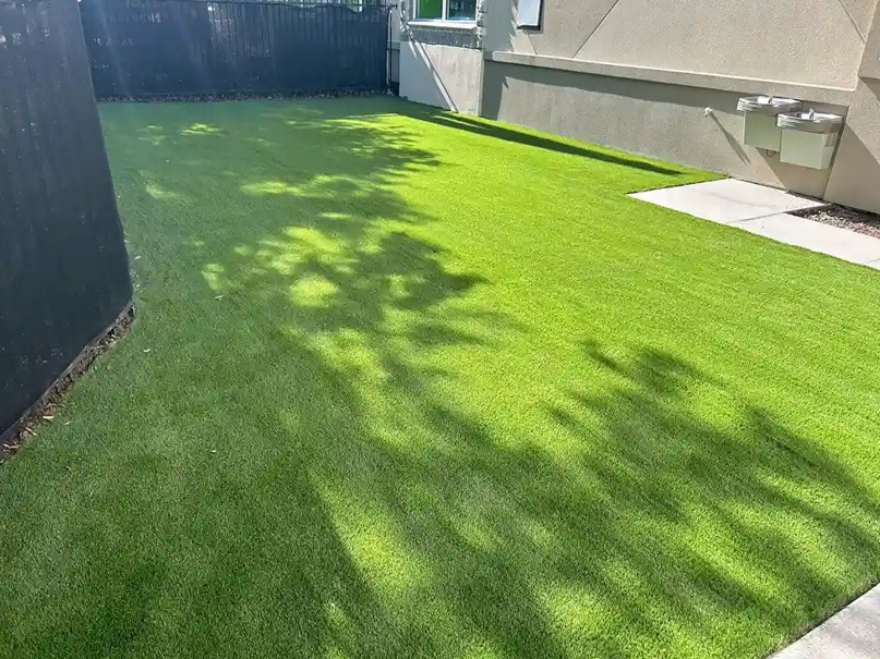 How to Vet Artificial Turf Installation Companies in Central Florida