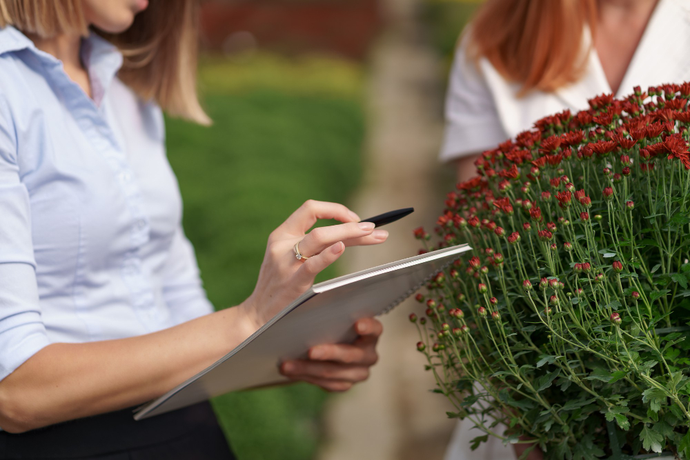 Questions to Ask Landscaping Companies in Sarasota, FL