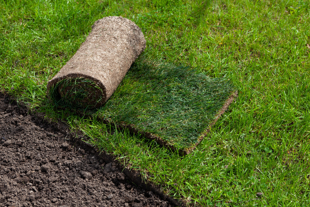 Sprinkler Repair in Central Florida: A Complete Guide