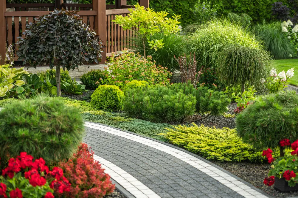 Pet Turf vs Artificial Grass: Which is Best for Your Florida Lawn?