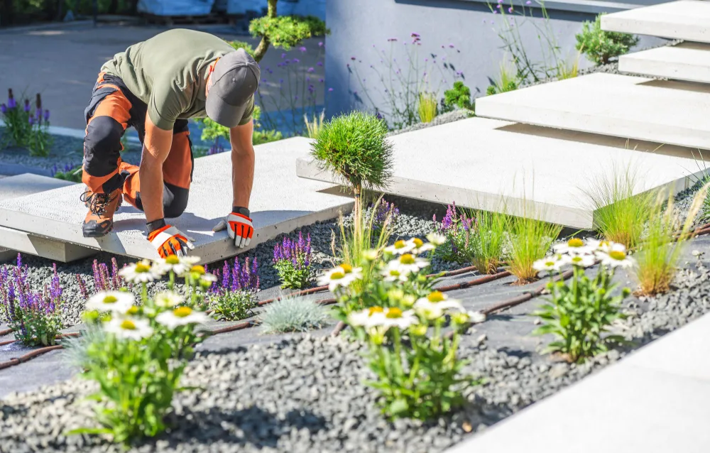 What Is a Fancy Word for Landscaper? Finding the Right Pro for Your Yard