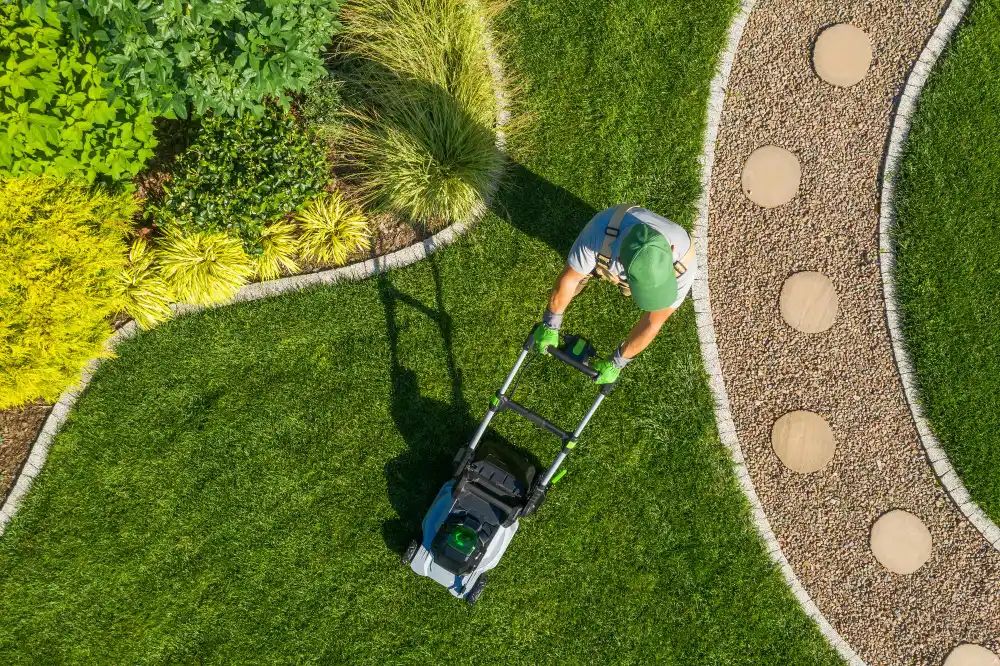 Florida Yard Drainage Solutions: How to Stop the Flooding