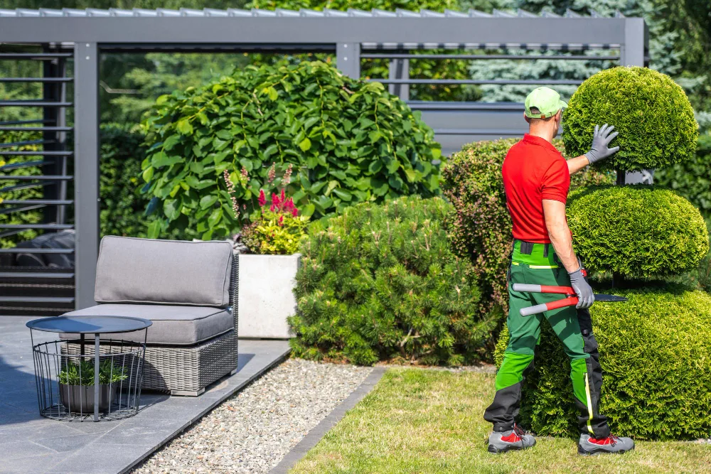 Landscaping in Sanford, FL: A Complete Guide