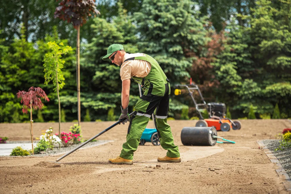 St. Pete Landscaping: Costs, Tips, and Finding the Best Pros