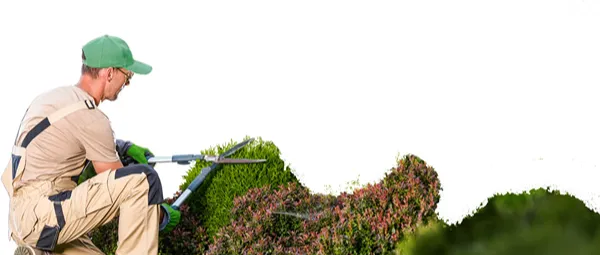 Citrus Landscape Solutions