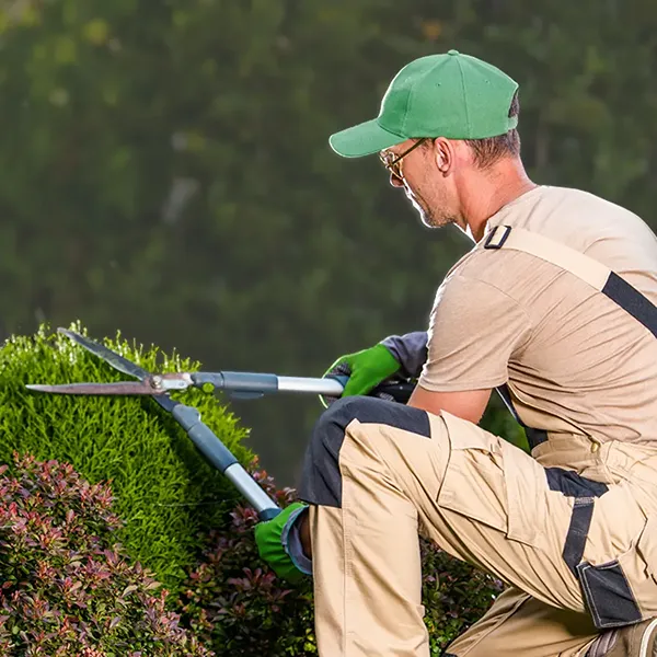 Your Premier Landscape Designer