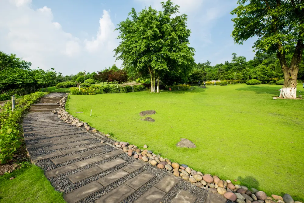 Professional Landscaping in Clearwater, Florida