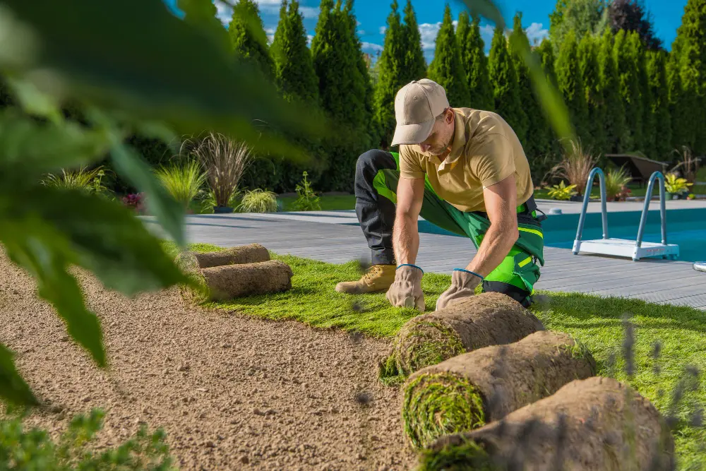 Professional Landscaping in Daytona Beach, Florida