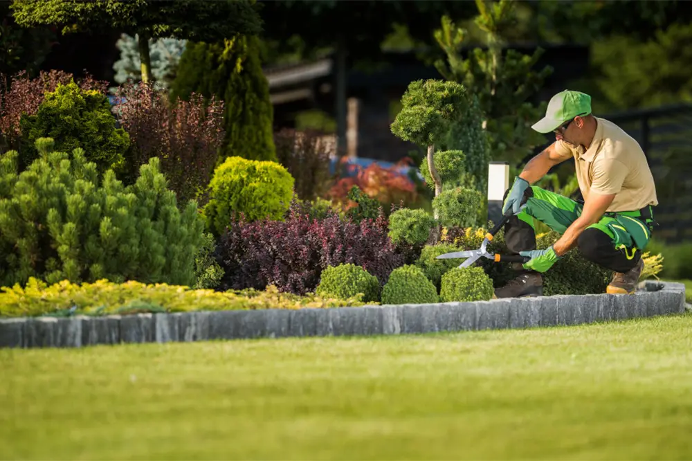 Professional Landscaping in DeLand, Florida