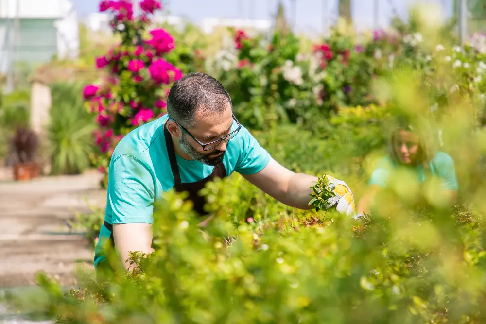 Professional Landscaping in Deltona, Florida