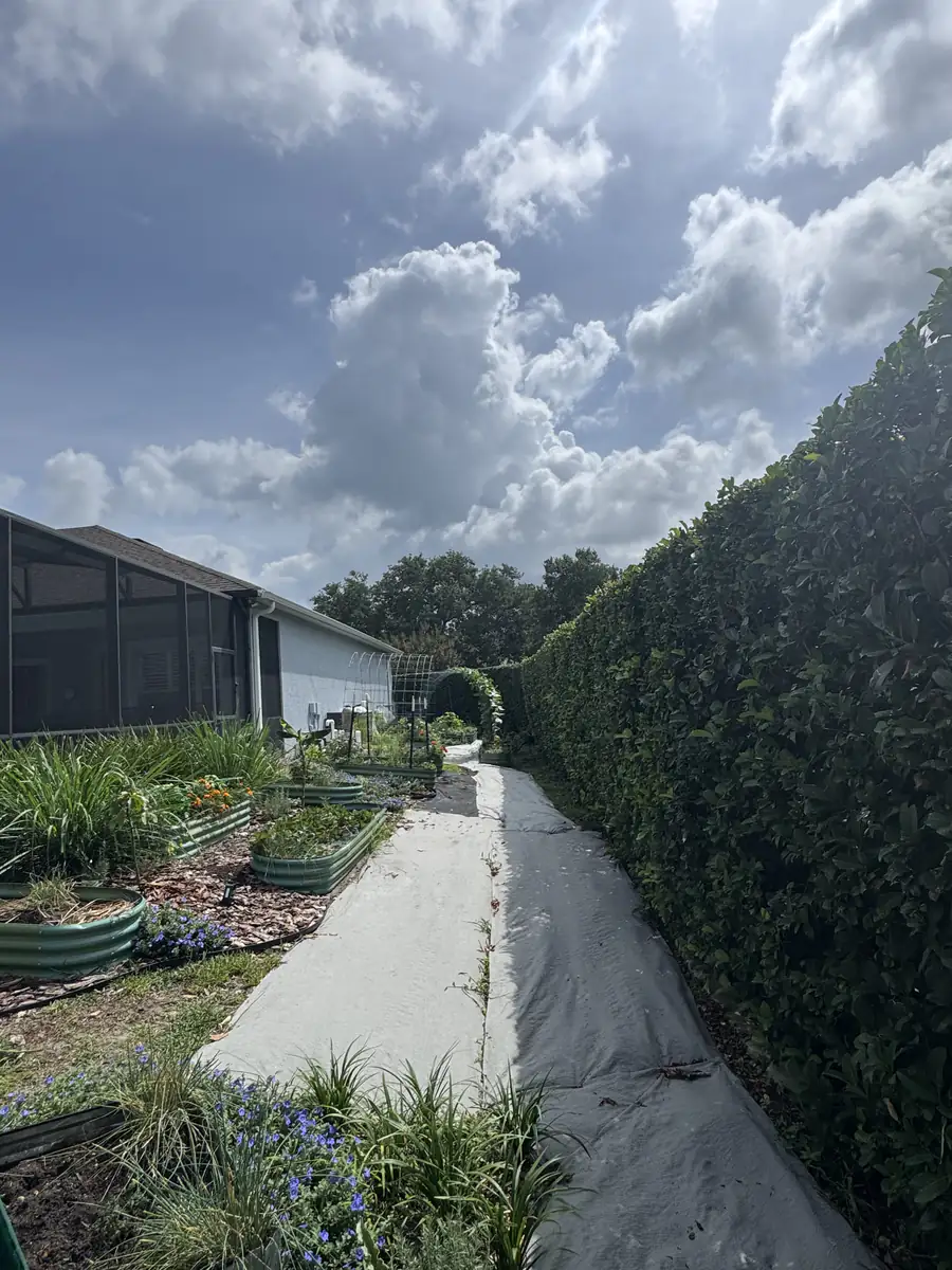 Sanford side yard before landscaping with a weed barrier path between raised garden beds