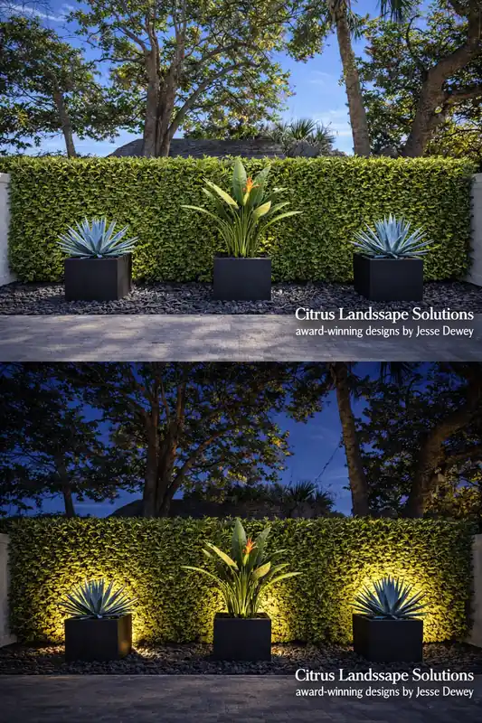 Sarasota Landscape Design