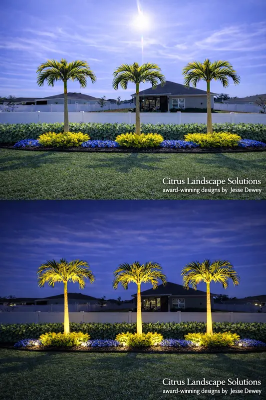 Treasure Island Landscape Design