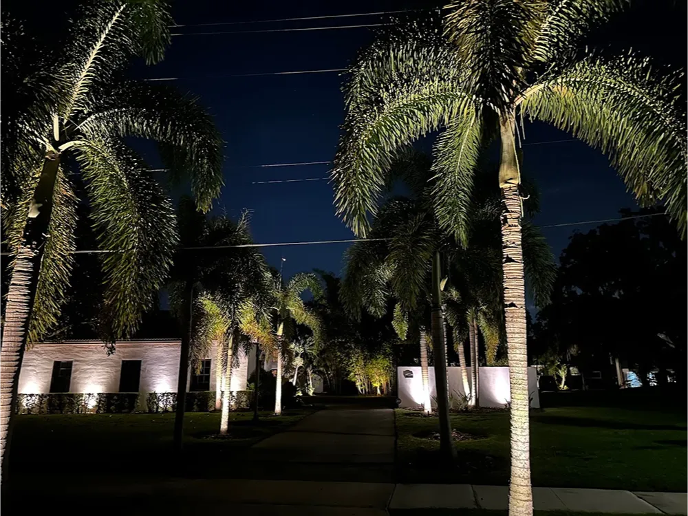 Professional Landscape Lighting Installation Process