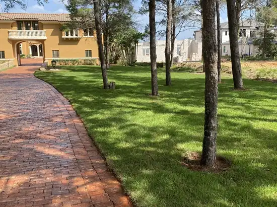 Residential sod installation in Central Florida