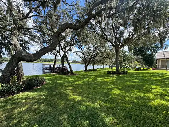 Sod Design & Installation by Citrus Landscape