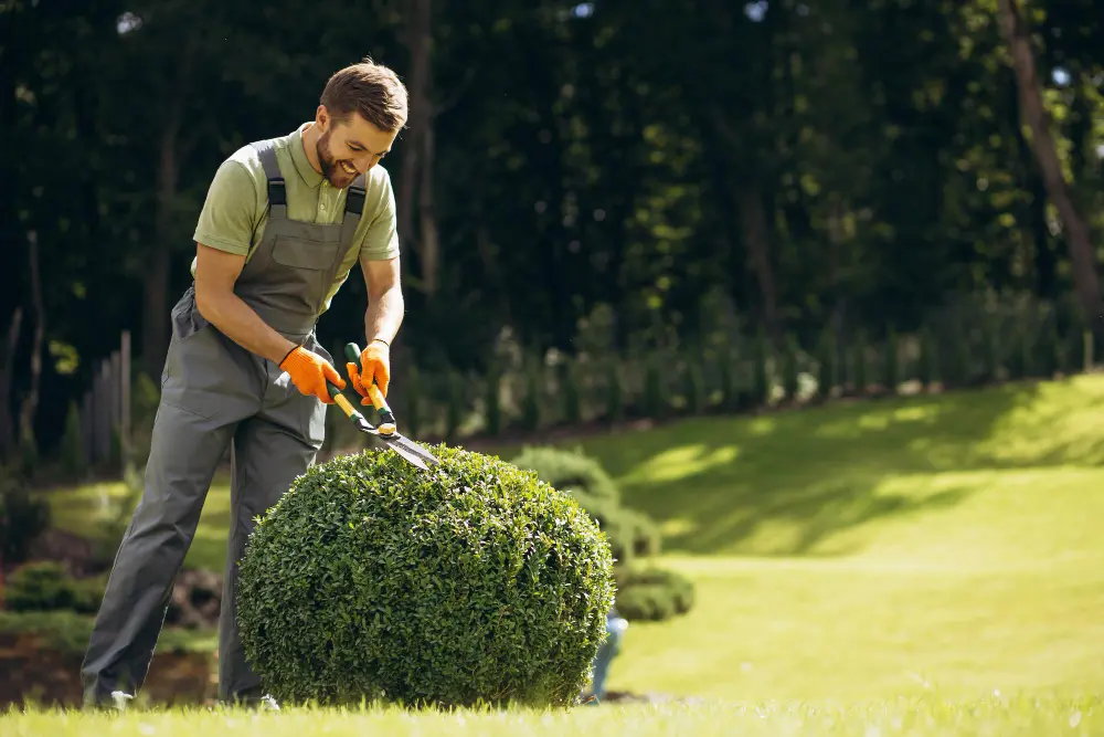 Professional Landscaping in Gulfport, Florida