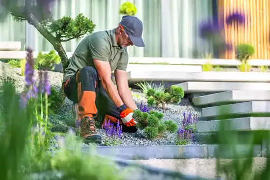 Professional Landscaping in Treasure Island, Florida