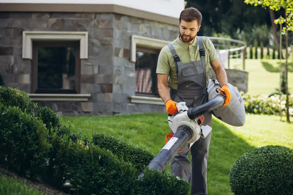 Professional Landscaping in New Smyrna Beach, Florida