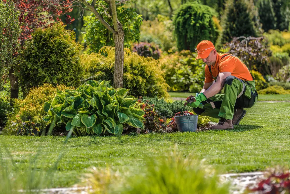 Professional Landscaping in Pinellas Park, Florida