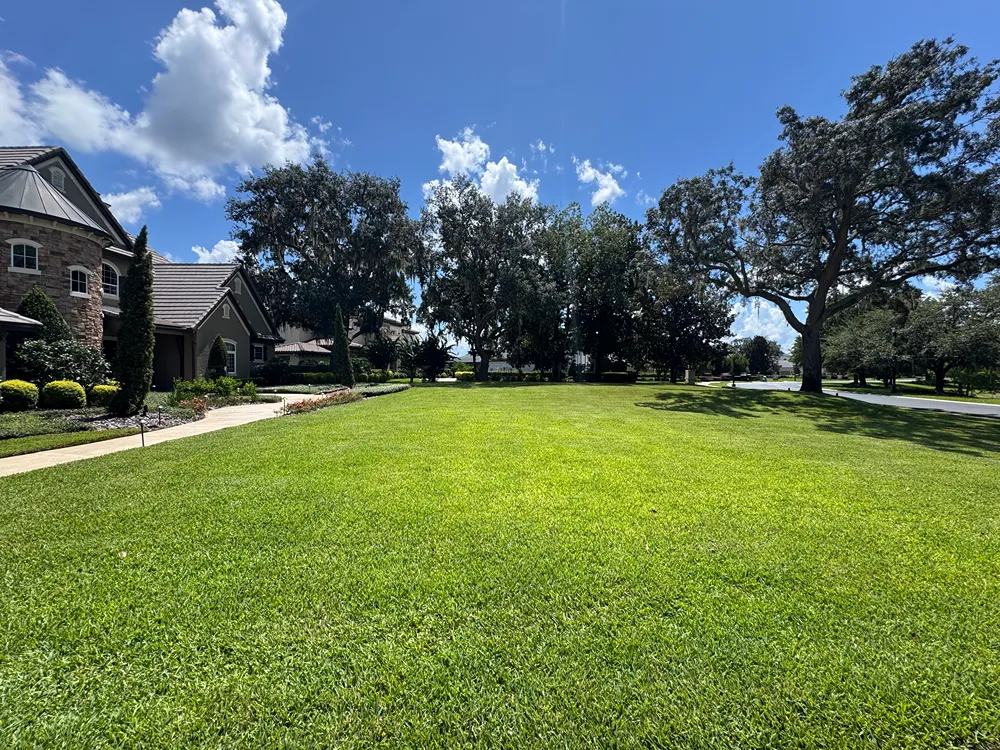 Sod Design & Installation