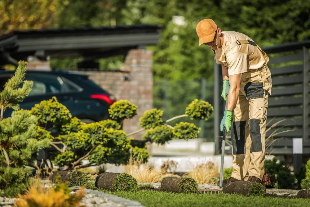 Professional Landscaping in St. Pete Beach, Florida