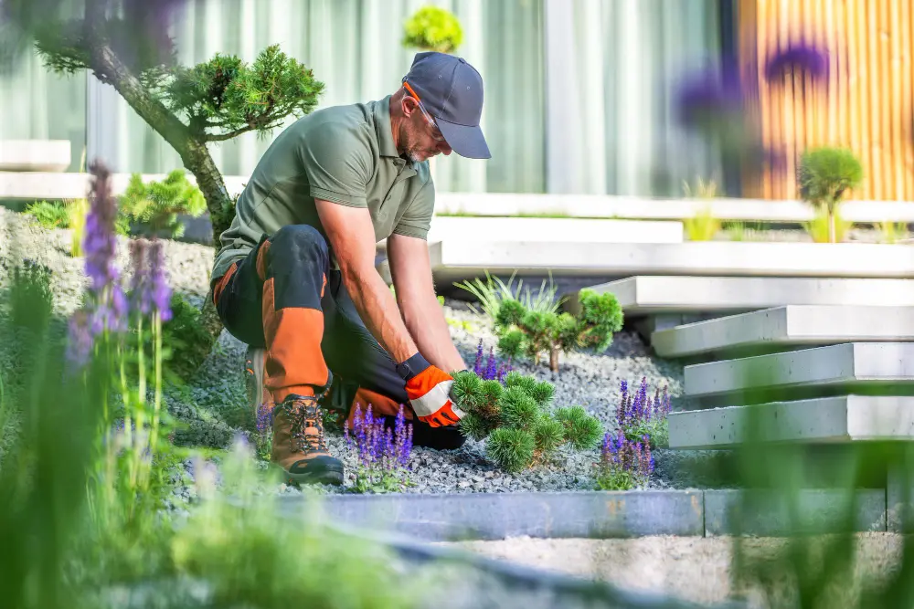 Professional Landscaping in Treasure Island, Florida