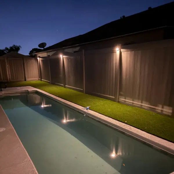 Backyard Plant Design in Orlando