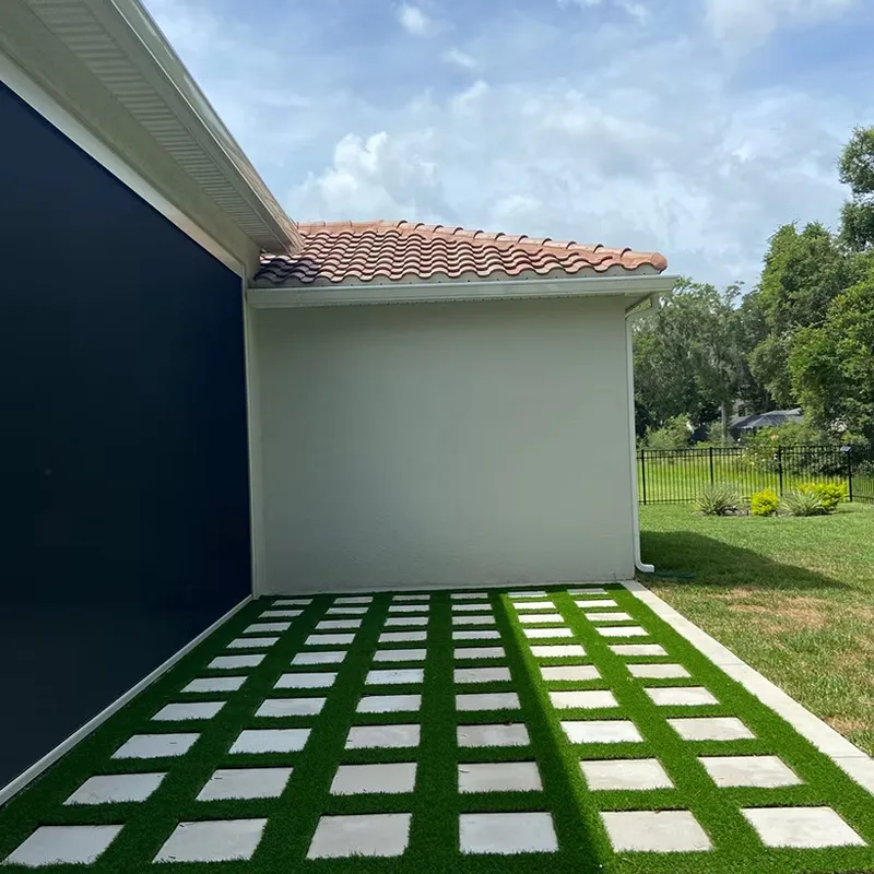 Modern and Tropical Plant Designs in Orlando