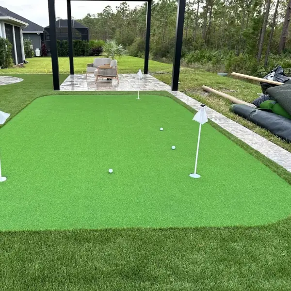 Backyard Plant Design in Sarasota