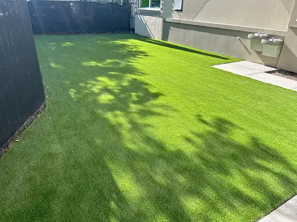 Artificial turf lawn at a Bradenton, Florida home