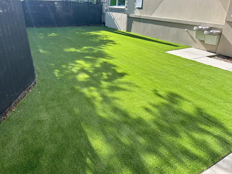 Lush green artificial turf installed in a small enclosed area in Sarasota