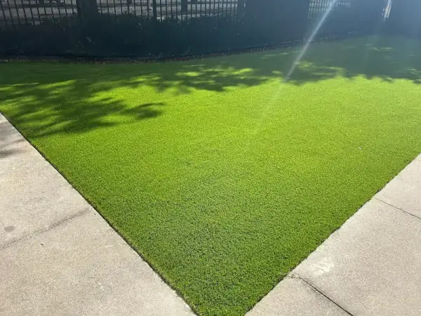 Close up showing clean edges where artificial turf meets concrete walkways