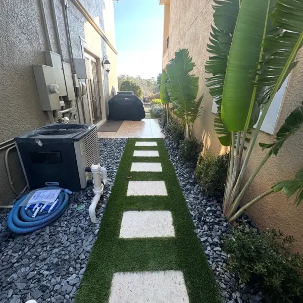 Backyard Plant Design in Tampa