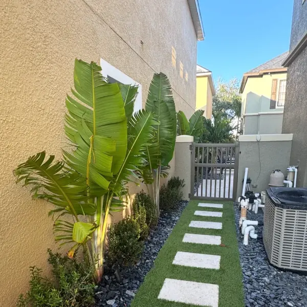 Backyard Plant Design in Tampa