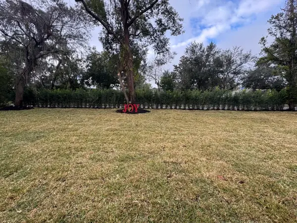 Walkway Installation in Sarasota