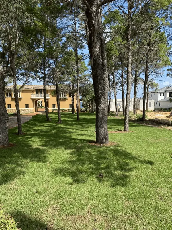 Pavers, Turf, and Sod Landscape Design  in Melbourne, FL