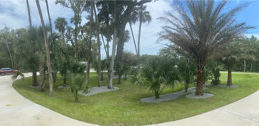 Landscape Design in Tampa, FL