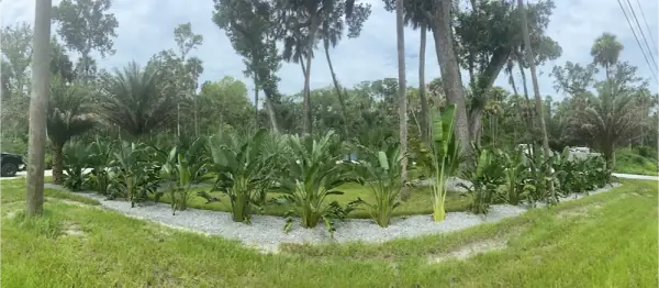 Landscape Design in Tampa, FL