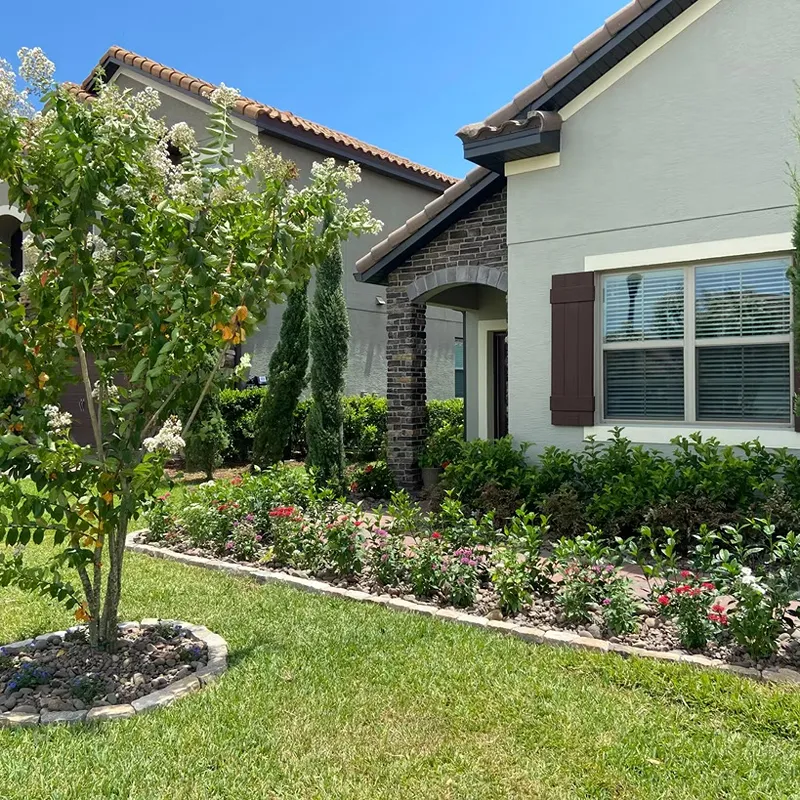 Plant Design and Paver Project