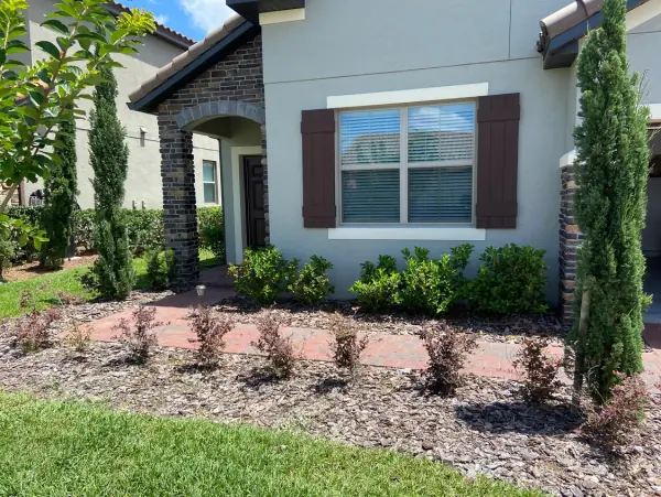 Plant Design and Paver Project in Orlando