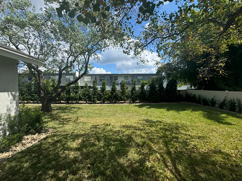 Tree and Plant Design in Sarasota