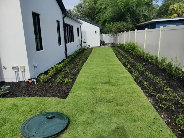 Sod Landscape Design & Hardscape in Tampa, FL