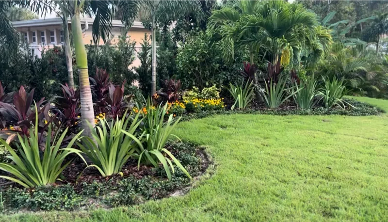 Sod and Plants in Sanford